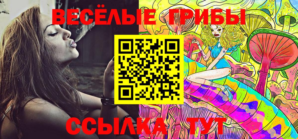 где можно купить наркотик  Псилоцибиновые грибы Cubensis  Вход с VPN  Корсаков 